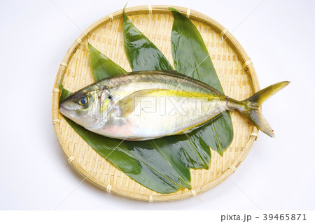 しまあじ　食材 39465871