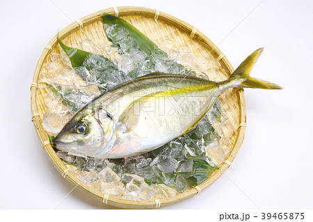 しまあじ　食材 39465875