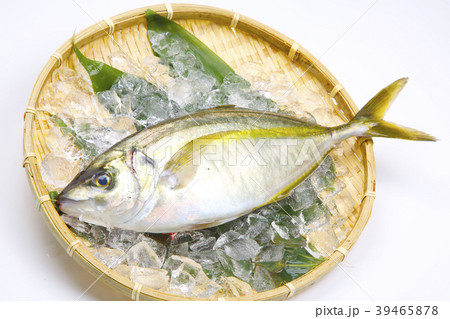 しまあじ　食材 39465878