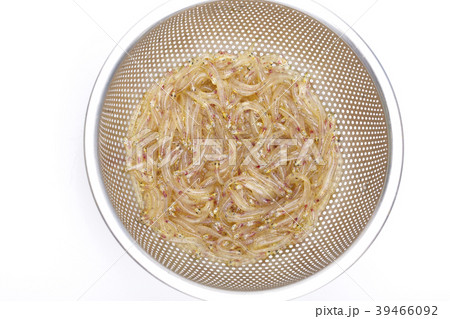 しろうお 魚 しろうお 魚 39466092