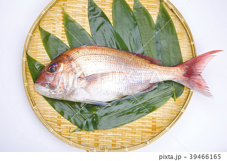 真鯛　食材 39466165