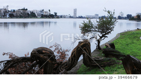 Tranquil scene Oakland, California's Lake Merritt 39466679