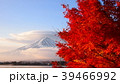 富士と紅葉 39466992
