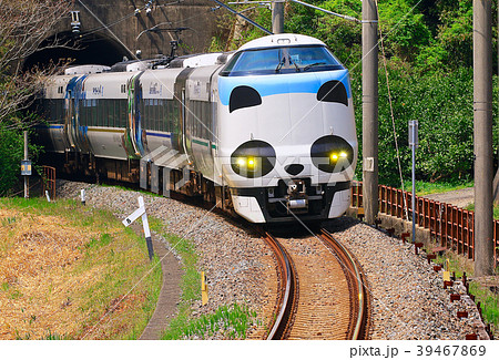パンダくろしお号JR287 Panda face Express Train Kuroshio 48 パンダくろしお号JR287 Panda face Express Train Kuroshio 48 39467869