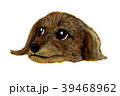 犬の顔のイラストレーション 39468962