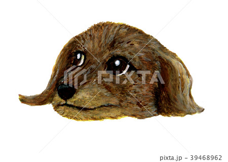 犬の顔のイラストレーション 犬の顔のイラストレーション 39468962