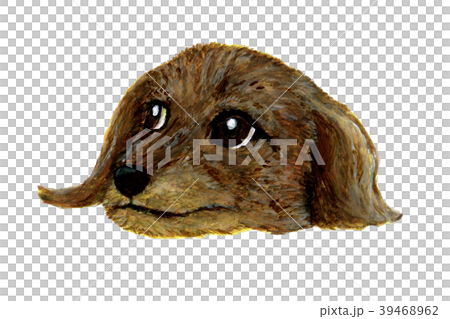 Illustration of a dog's face Illustration of a dog's face 39468962