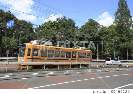 都電荒川線7000形（黄色・青帯） 39469129