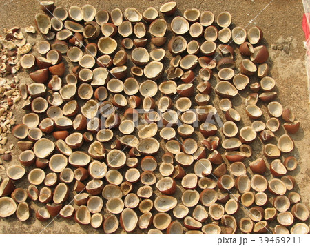 Coconut pattern background. Half and whole 39469211