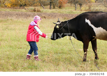 Beautiful little girl stands on meadow near black Beautiful little girl stands on meadow near black 39469248