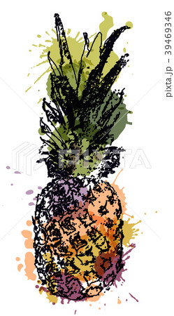 Vector Single Sketch Pineapple Vector Single Sketch Pineapple 39469346
