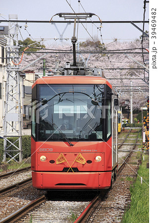 飛鳥山公園の桜と都電8800形(オレンジ) 飛鳥山公園の桜と都電8800形(オレンジ) 39469482