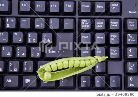 fresh sweet pea pod on computer keyboard 39469590