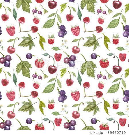 Set of hand drawn berries isolated on white Set of hand drawn berries isolated on white 39470710