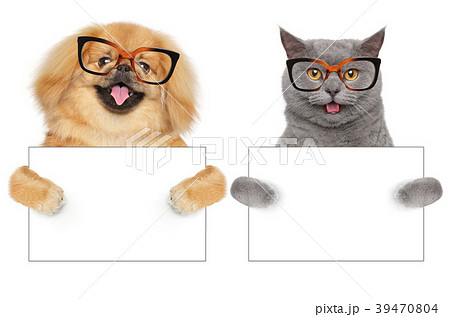 Cat and Dog hold empty banner 39470804