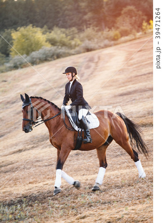 woman riding on brown horse wearing helmet woman riding on brown horse wearing helmet 39471264