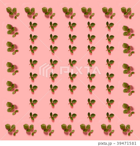 Green little leaves 39471581