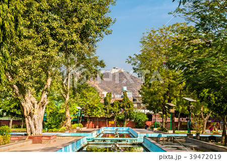 Pondrik Park in Jaipur, India 39472019