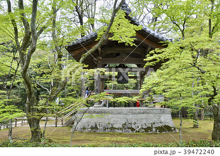 若葉萌える鹿苑寺の鐘楼 39472240