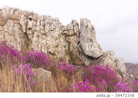 空 岩 石 39472336
