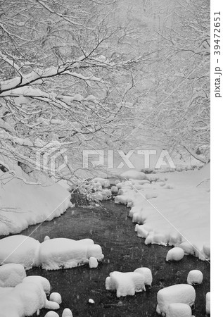 冬の渓流 39472651