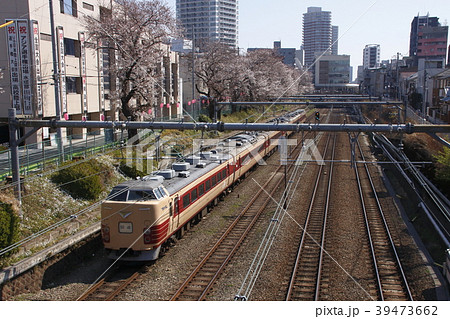 189系団体列車と消えゆく東中野桜並木 39473662