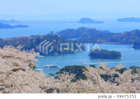 春の松島 春の松島 39475253