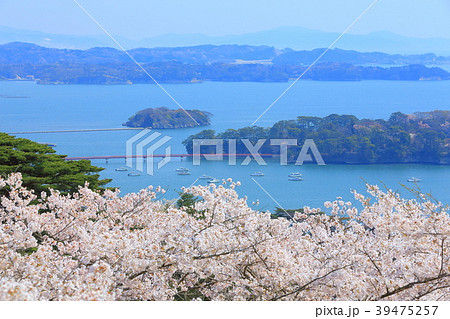 春の松島 春の松島 39475257