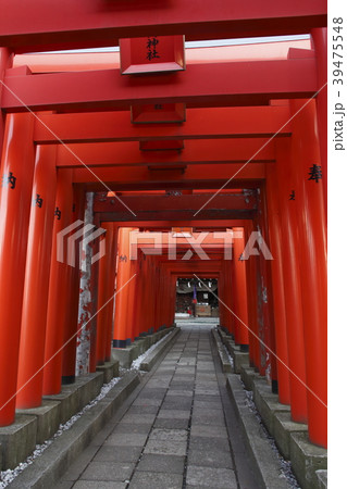 穴守稲荷神社(千本鳥居) 穴守稲荷神社(千本鳥居) 39475548