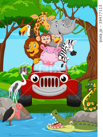 Cartoon wild animal riding a red car in the jungle Cartoon wild animal riding a red car in the jungle 39477113