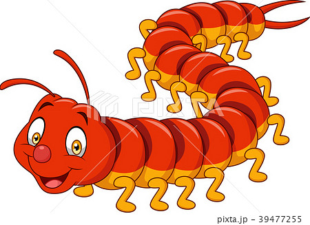 Cartoon centipede isolated on white background Cartoon centipede isolated on white background 39477255