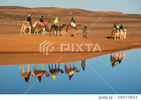 サハラ砂漠の水たまり 39477643