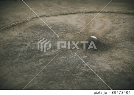 Sumo wrestling 39478404