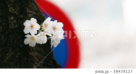 桜　＠東京2018　03 39479127