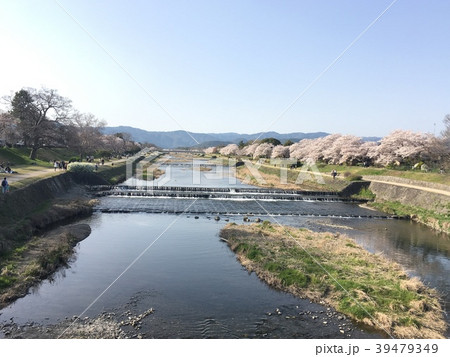 賀茂川 39479349