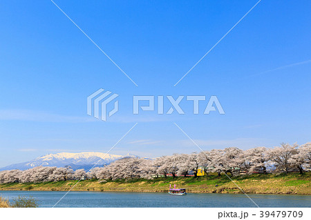 一目千本桜　大河原 39479709