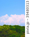 夏の緑と青空 39480313
