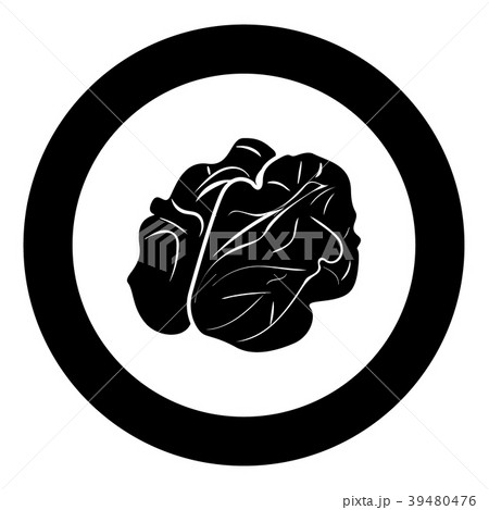 Walnut icon black color in circle 39480476