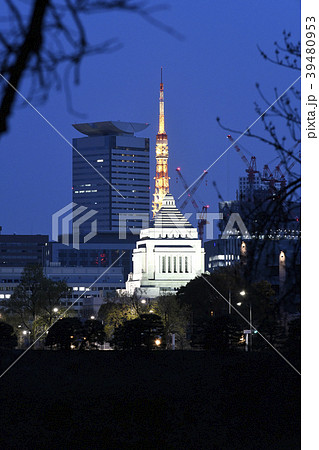 日本の東京都市景観　国会議事堂と東京タワーなどを望む 39480953