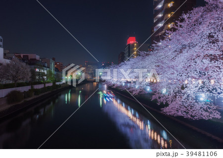 ライトアップされた桜並木 39481106