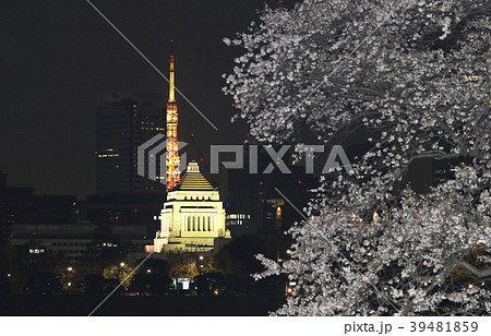 日本の東京都市景観 桜と国会議事堂や東京タワーなどを望む 日本の東京都市景観 桜と国会議事堂や東京タワーなどを望む 39481859