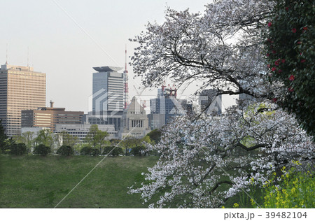 日本の東京都市景観　桜や国会議事堂、東京タワーなどを望む 39482104