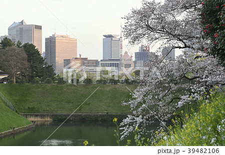 日本の東京都市景観 桜や国会議事堂、東京タワーなどを望む 日本の東京都市景観 桜や国会議事堂、東京タワーなどを望む 39482106
