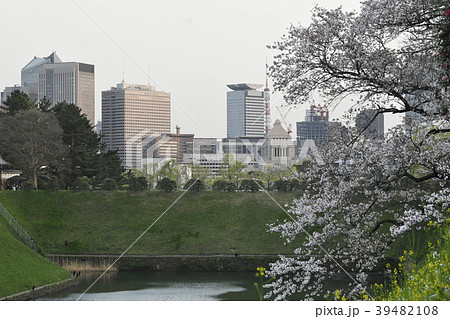 日本の東京都市景観　桜や国会議事堂、東京タワーなどを望む 39482108