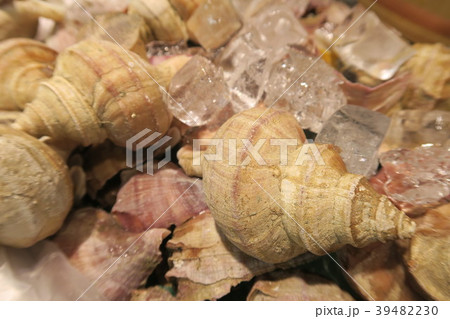 つぶ貝 つぶ貝 39482230