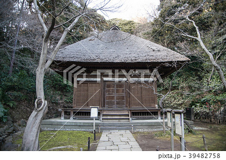 横浜市の南東部に位置する三渓園、古建築が移築され一度は訪れたい場所だ 39482758