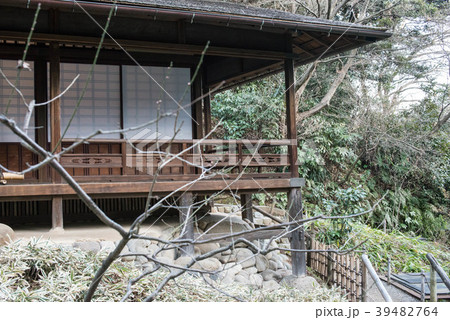 横浜市の南東部に位置する三渓園、古建築が移築され一度は訪れたい場所だ 横浜市の南東部に位置する三渓園、古建築が移築され一度は訪れたい場所だ 39482764