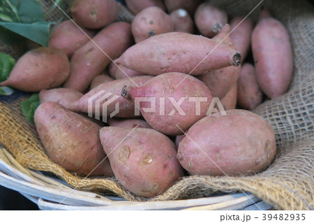 安納芋 安納芋 39482935