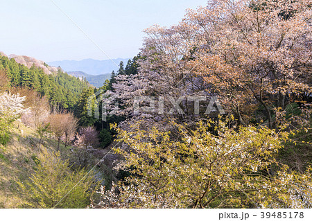 吉野山 吉野山 39485178