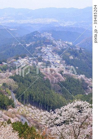 吉野山 39485204